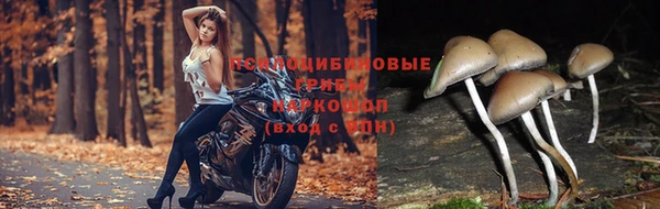 MESCALINE Абинск