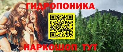 МДПВ Можайск